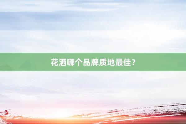 花洒哪个品牌质地最佳？