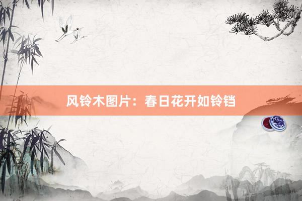 风铃木图片：春日花开如铃铛